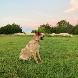 Meet your Posher, Marie